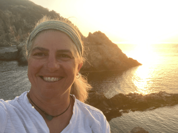 Raven Graham About SVMI | Leaders in Math Education Since 1996